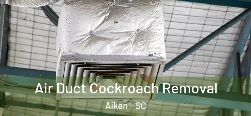 Air Duct Cockroach Removal Aiken - SC