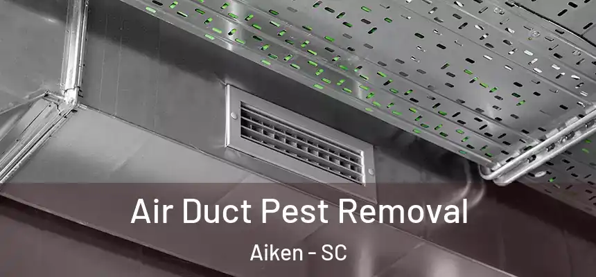 Air Duct Pest Removal Aiken - SC