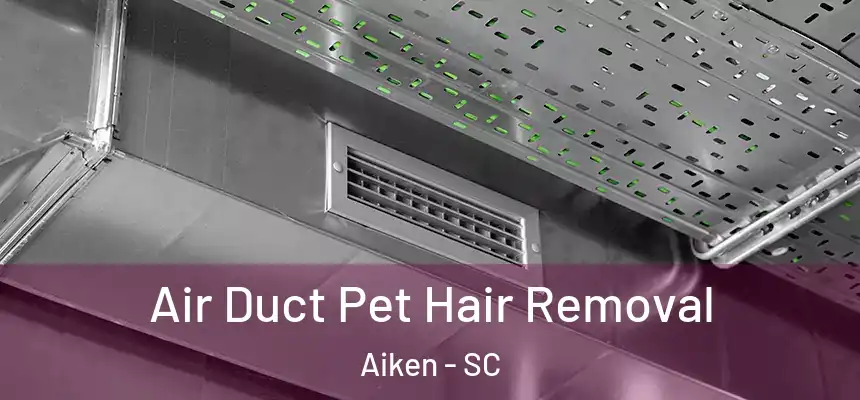  Air Duct Pet Hair Removal Aiken - SC
