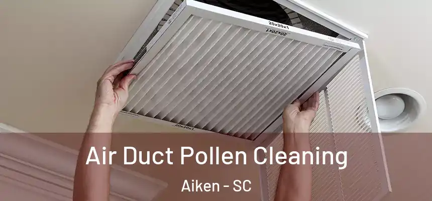  Air Duct Pollen Cleaning Aiken - SC