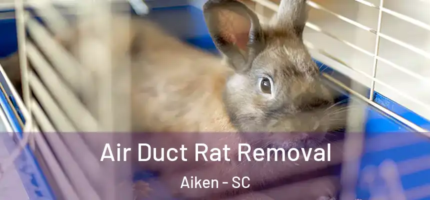 Air Duct Rat Removal Aiken - SC