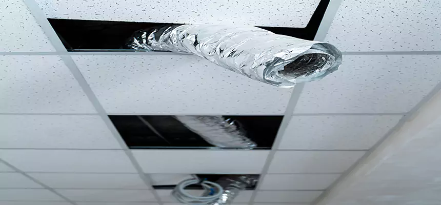 Affordable HVAC Sanitizing After Pest Removal in Aiken