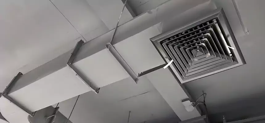 Restorative Allergy Relief Vent Cleaning – Coil, Blower & Housing Detail in Aiken