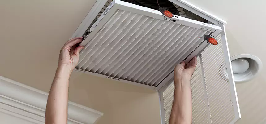 Our Insect Removal from Air Ducts Services in Aiken, SC