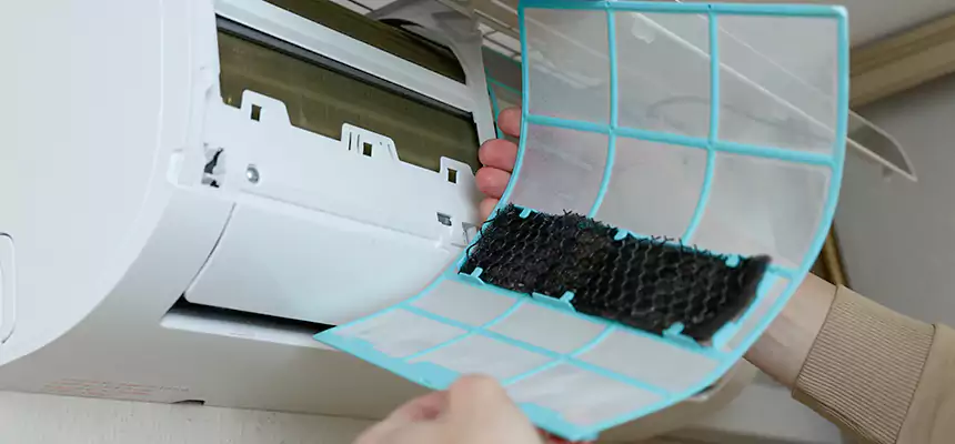 Gentle Ductwork Odor-Control Pet Dander Duct Cleaning in Aiken, SC