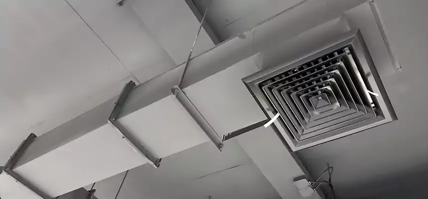 Our Rodent Droppings In Vents Services in Aiken, SC