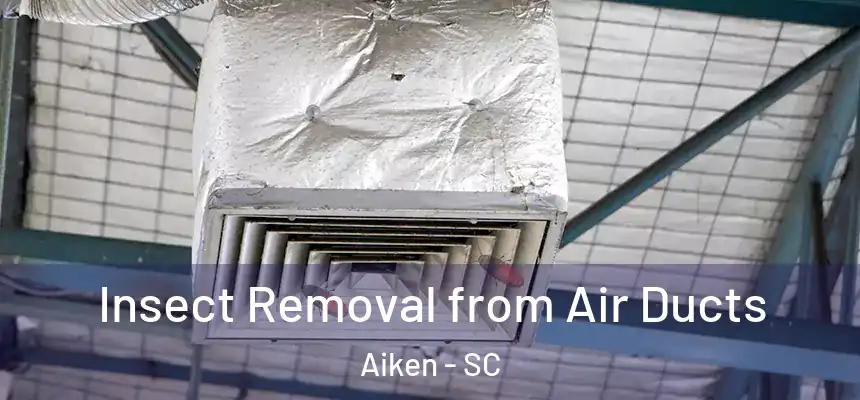 Insect Removal from Air Ducts Aiken - SC