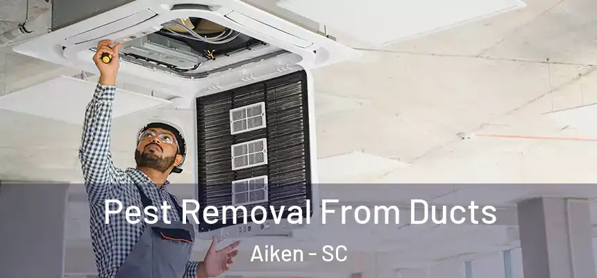 Pest Removal From Ducts Aiken - SC