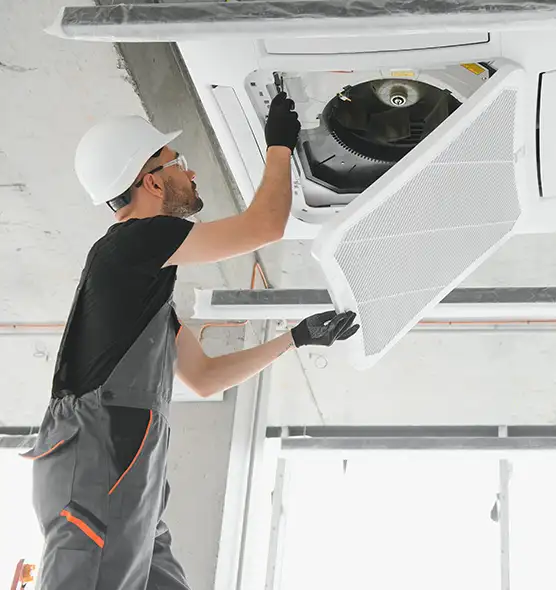 About Air Duct Rodent Removal in Aiken, SC