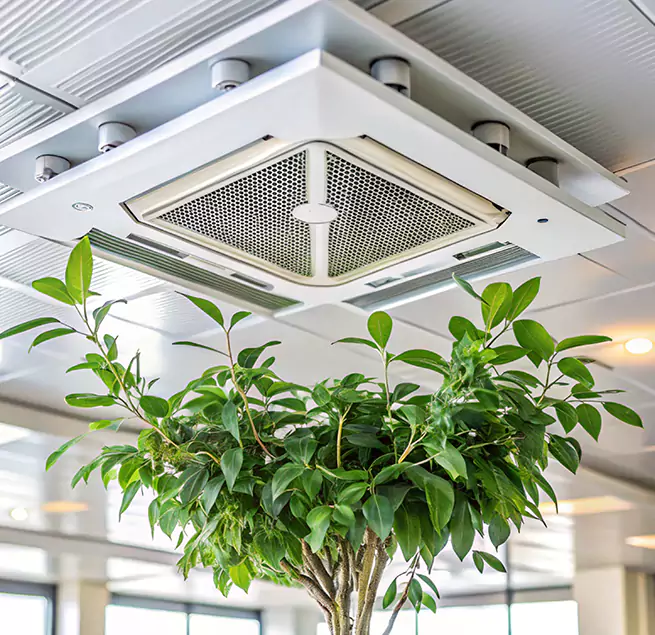 Why Homeowners & Businesses Trust Us in Aiken, SC