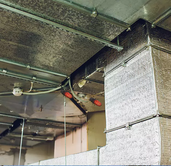 Why Homeowners & Businesses Trust Us Aiken, SC?