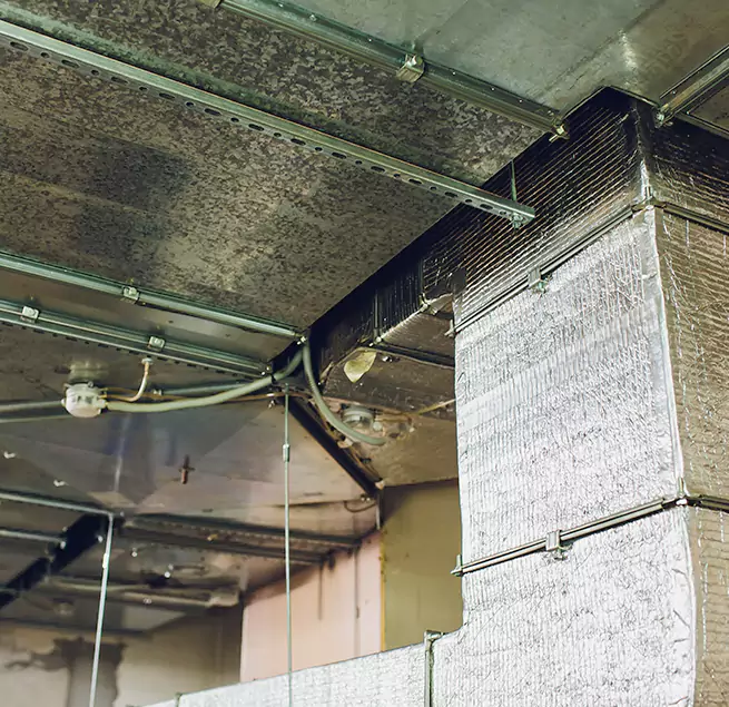 Why Homeowners & Businesses Trust Us in Aiken, SC?